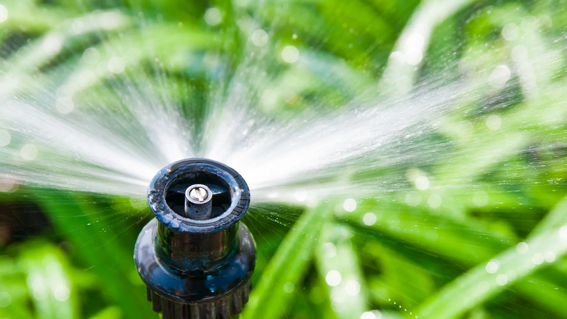 Can You Winterize Sprinklers Without an Air Compressor?