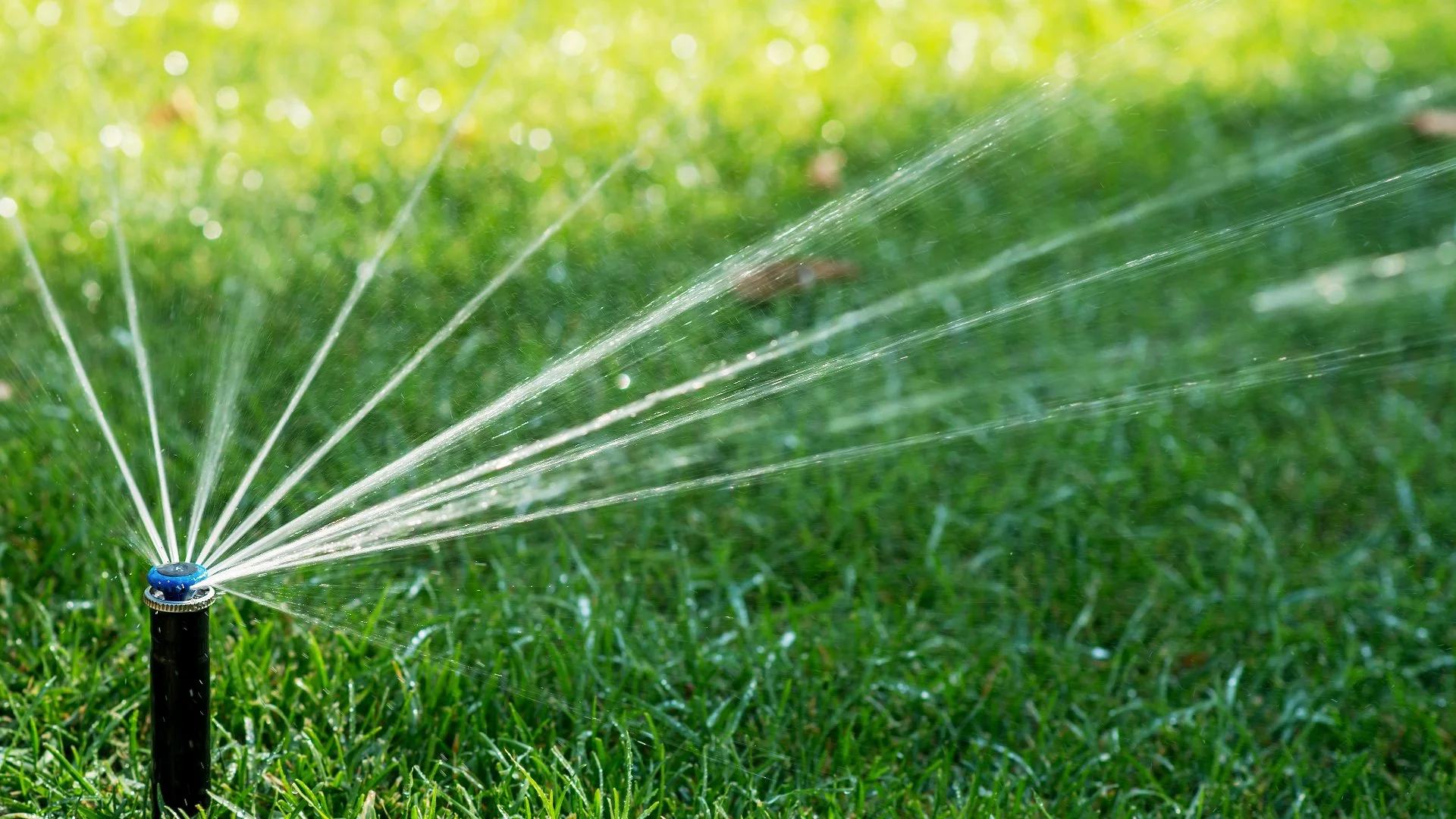 Starting up Your Irrigation System Is a Task Best Left to Professionals