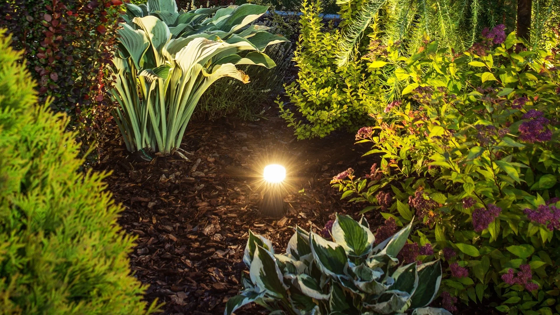 What Type of Landscape Lighting Is Best for Your Outdoor Space?