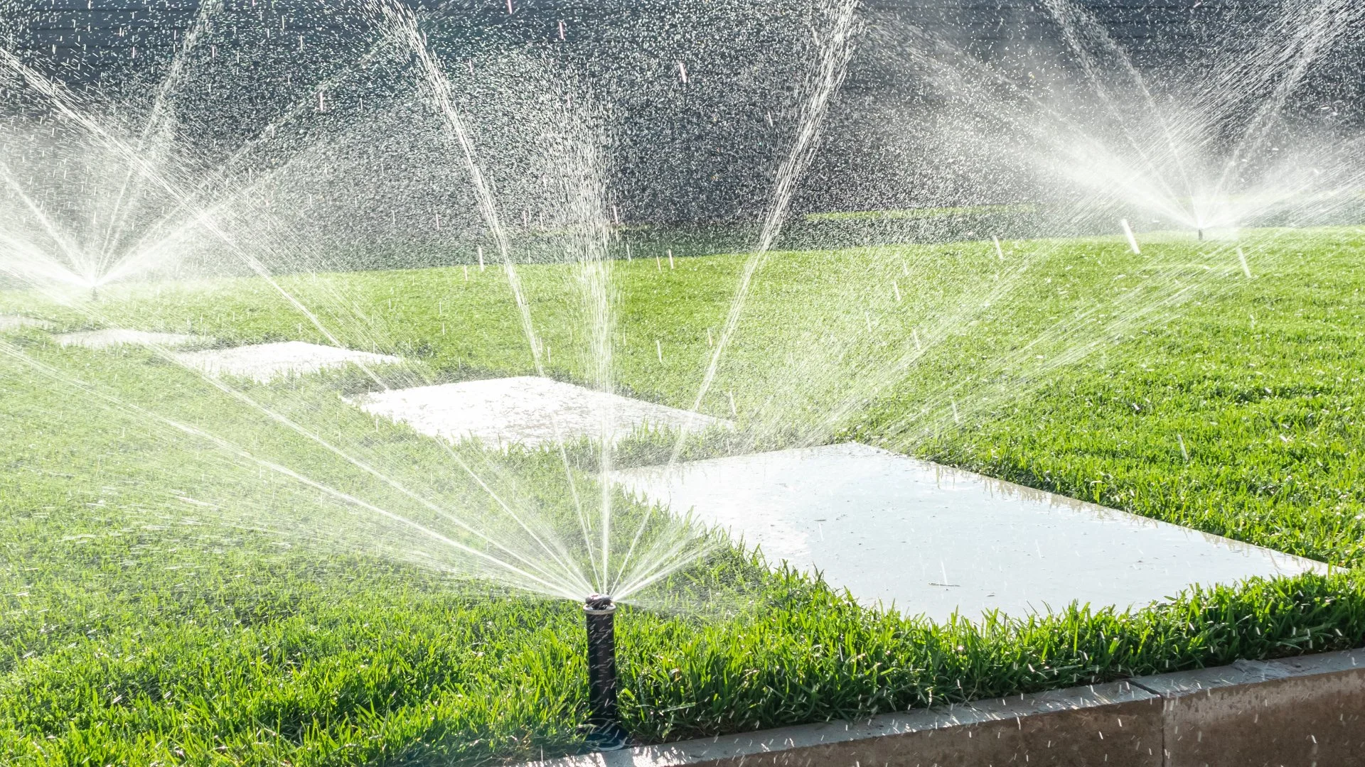 What Is Backflow in Irrigation Systems Caused By?