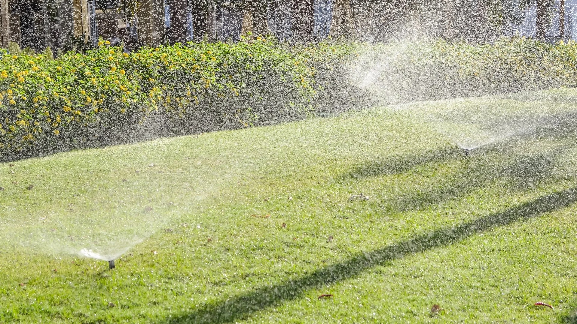 What Does an Irrigation Startup Service Entail?