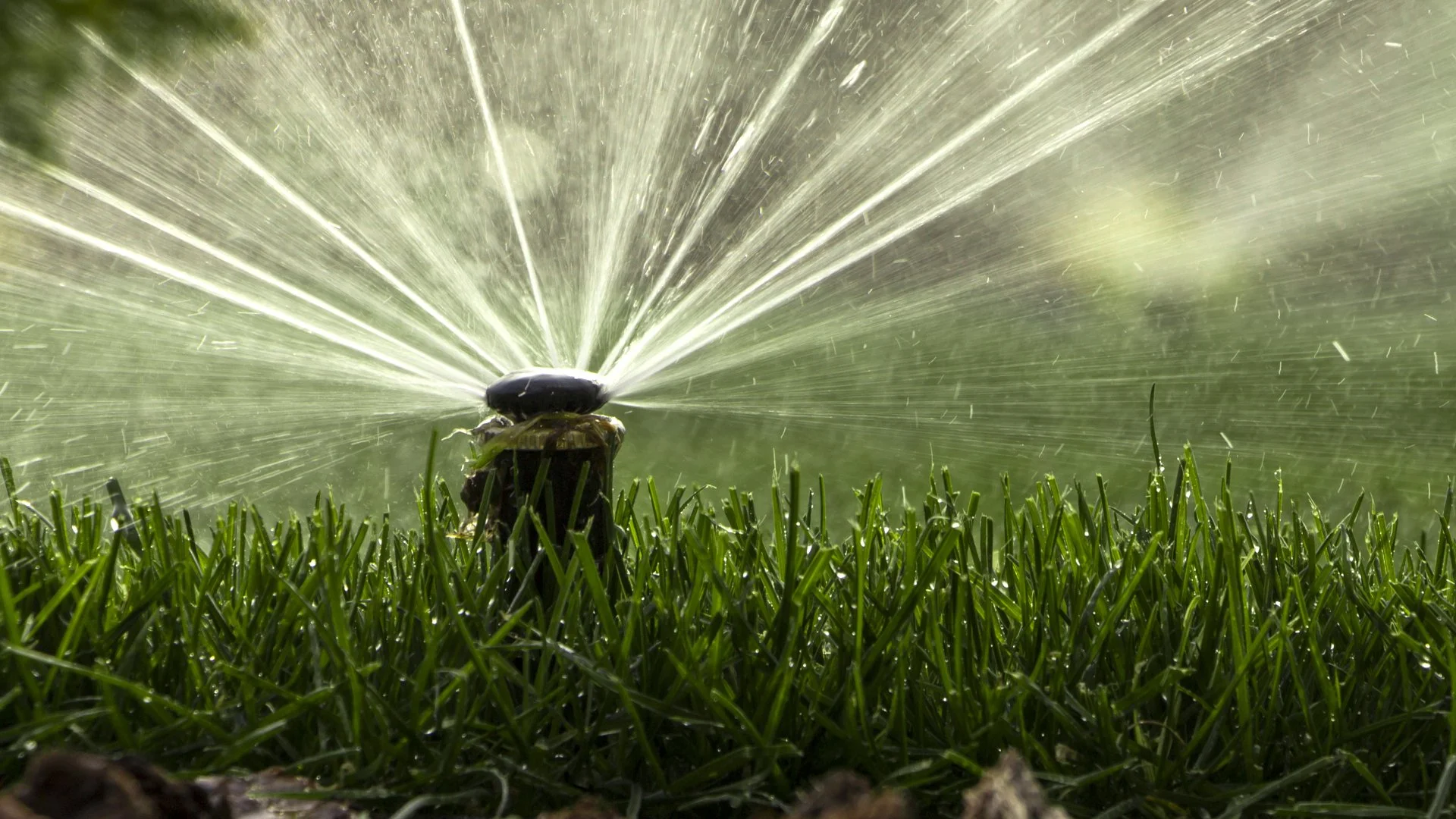 What to Expect During a Professional Irrigation Winterization Service