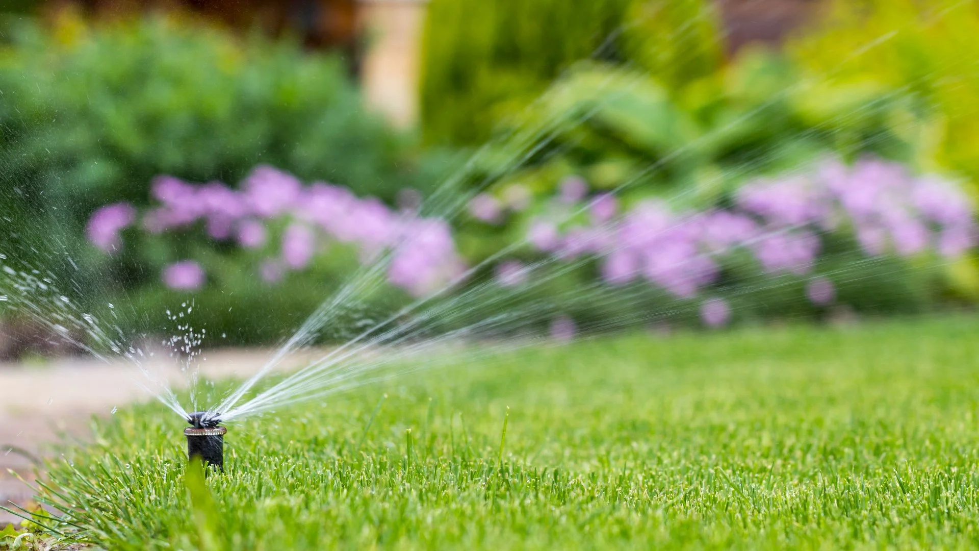 What Part of Your Irrigation System Needs to Be Repaired?