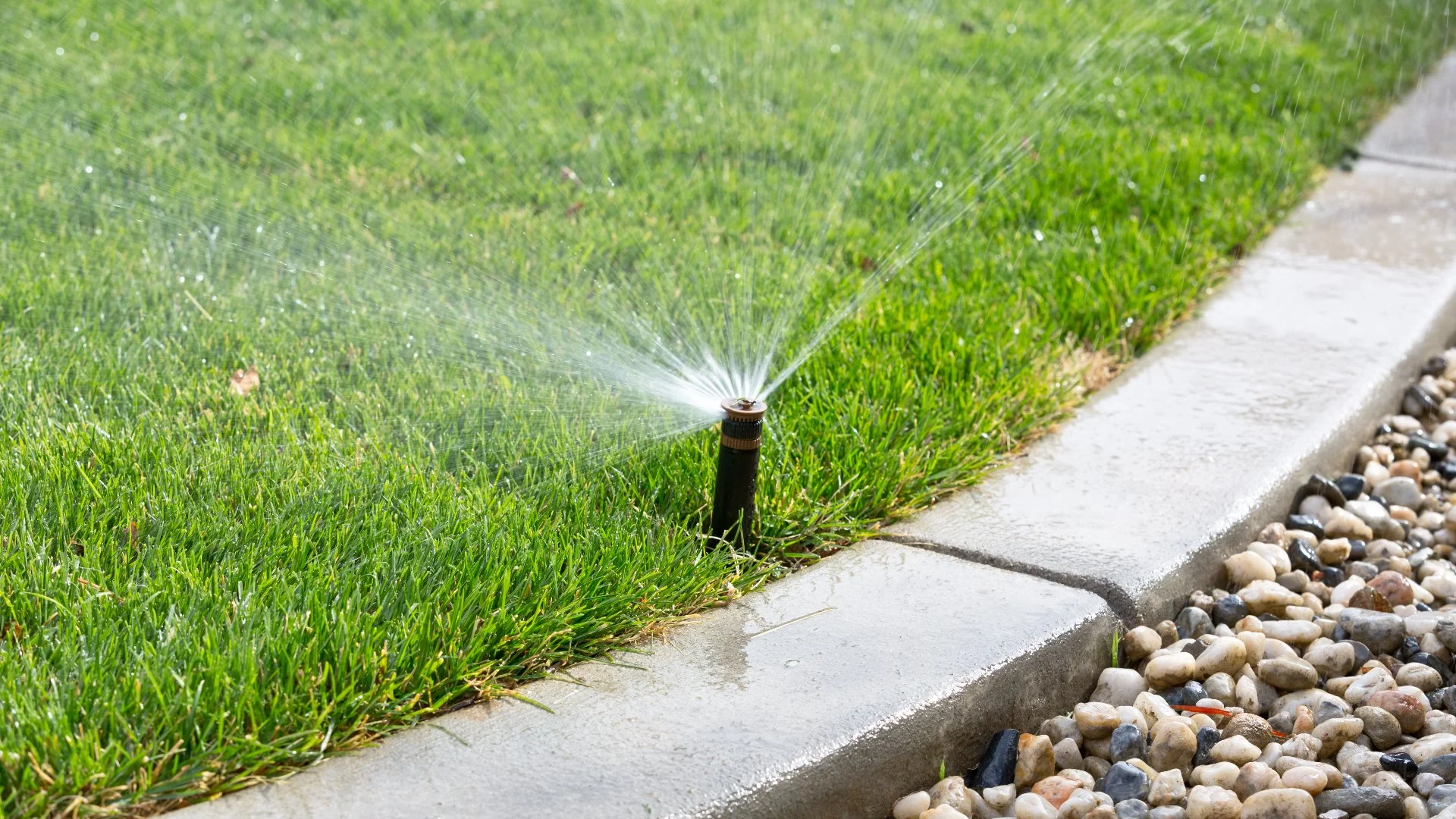 Are Irrigation Maintenance Programs Worth It?