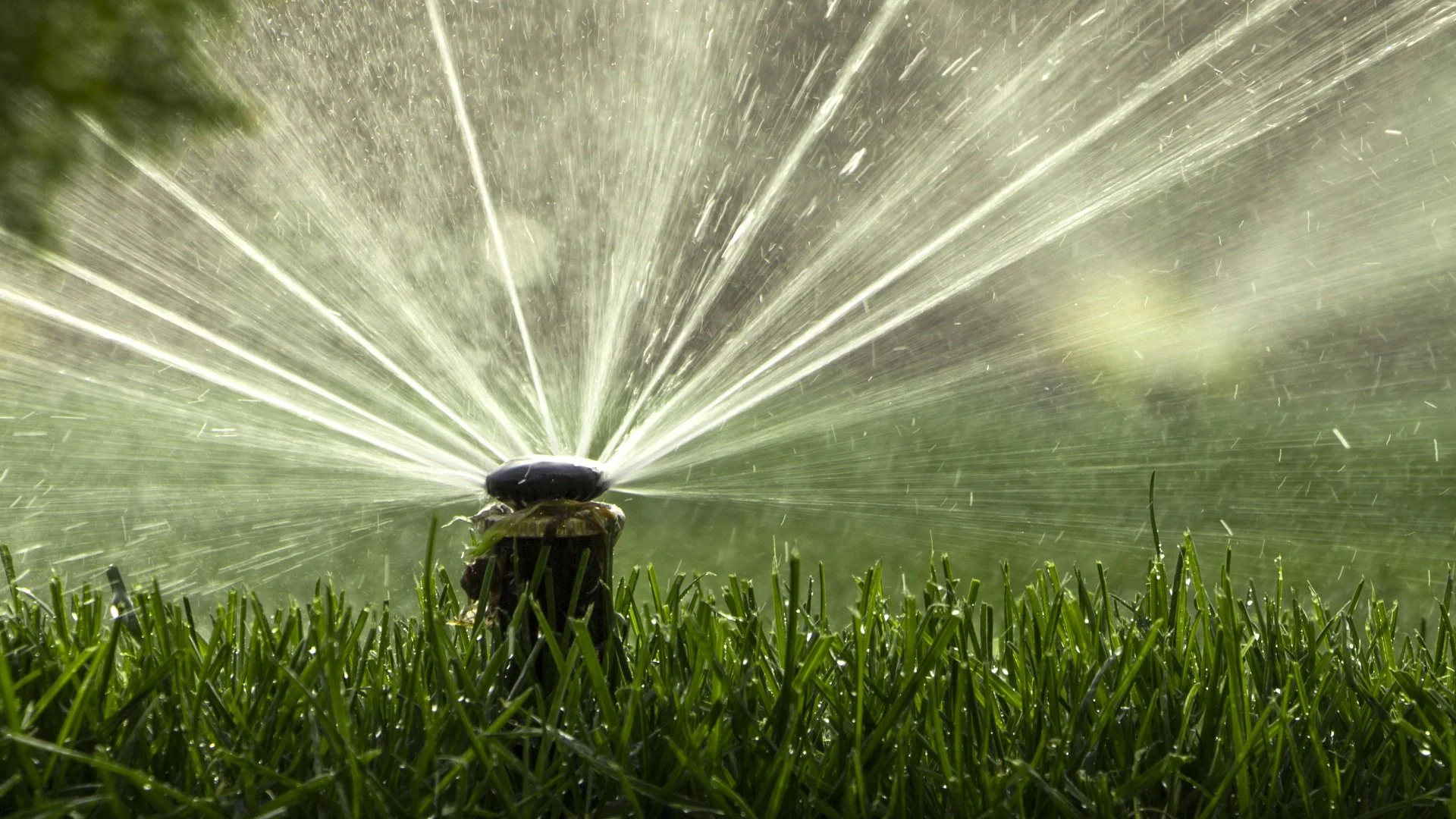 Some of Your Sprinkler Zones May Not Be Working Due to These Issues!