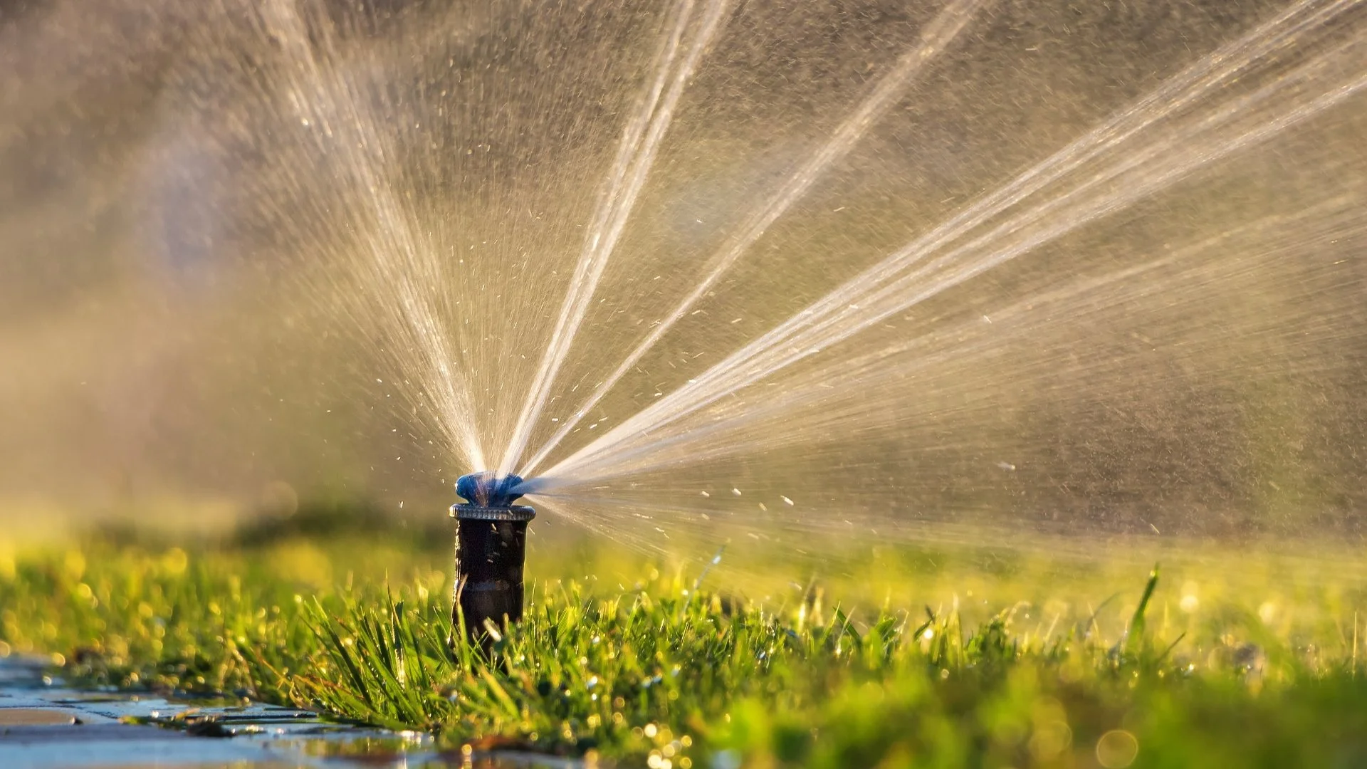 Are Irrigation Systems Worth the Cost?