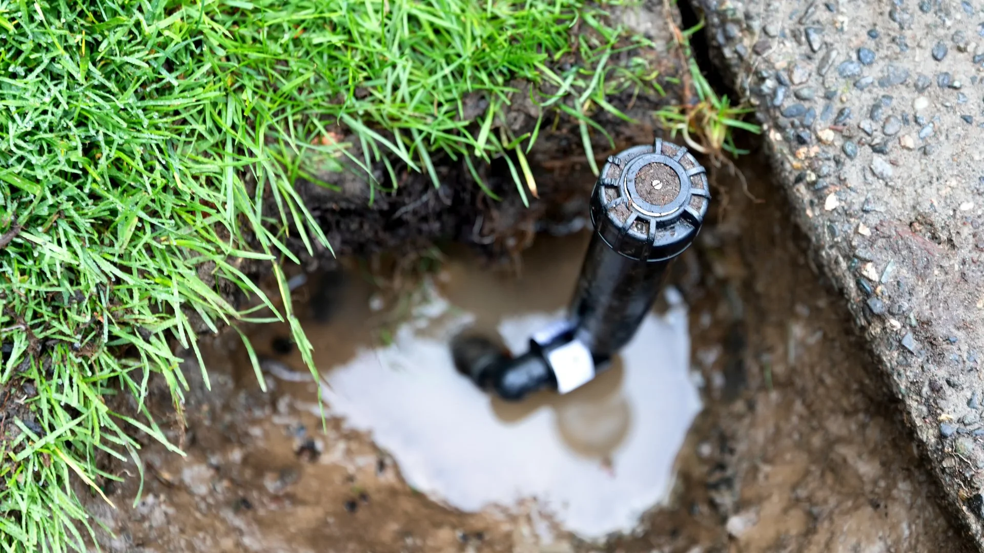 Know the Signs of an Irrigation System Leak!
