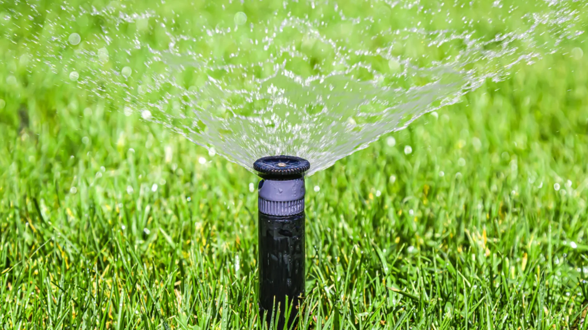 Why Isn’t Your Irrigation System Working Properly?