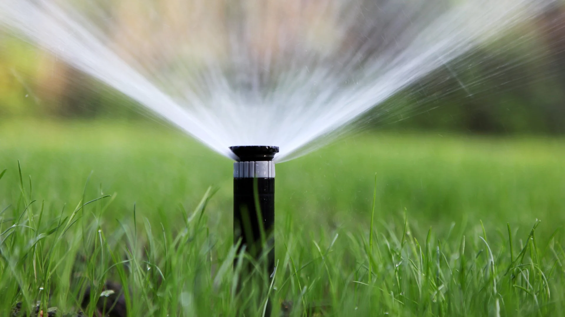 What to Look for in an Irrigation Repair Company