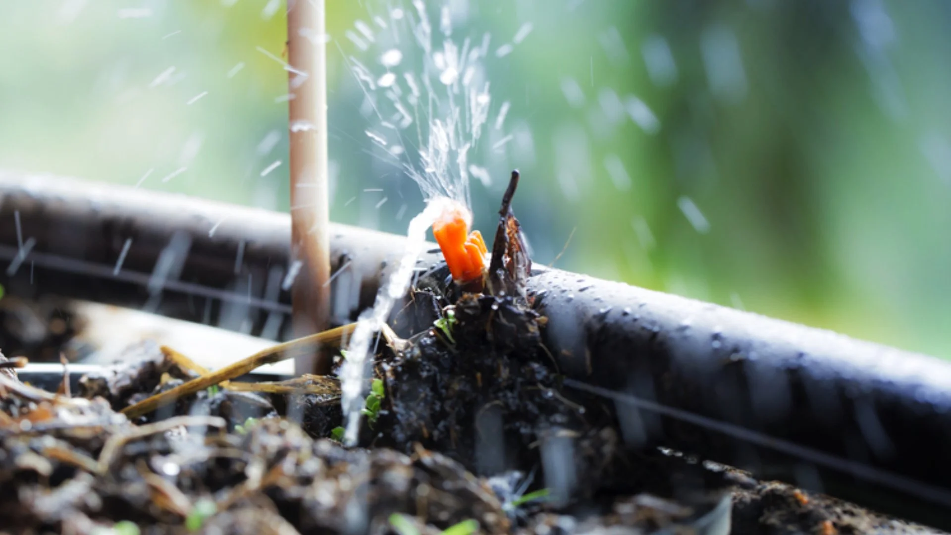 Does Your Drip Irrigation System Need to Be Winterized?