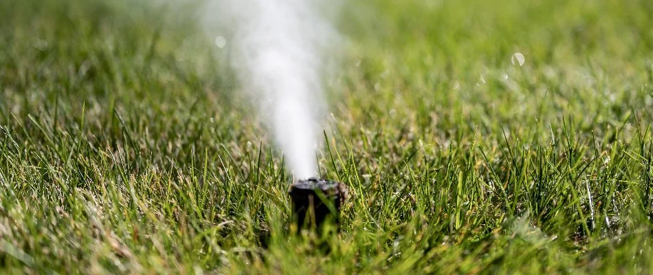 Blowing out water through an irrigation sprinkler head in Saddle River, NJ.