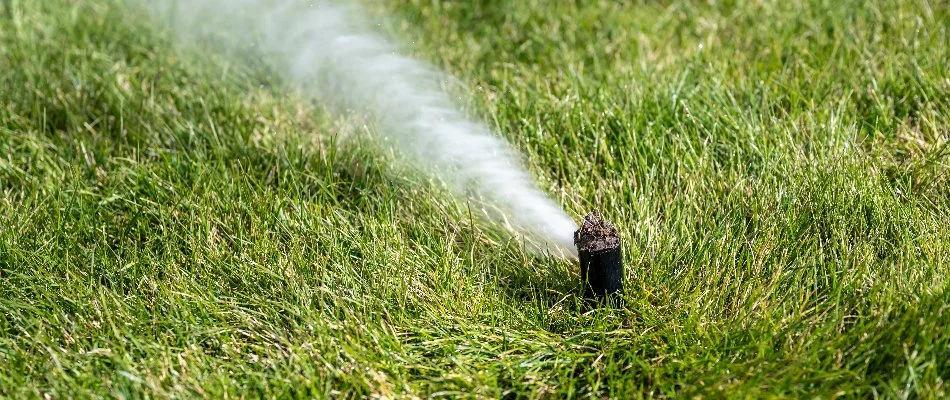 Blowing water out of an irrigation system in Tarrytown, NY, through a sprinkler head.