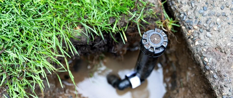 Broken sprinkler head with a puddle in Saddle River, NJ.