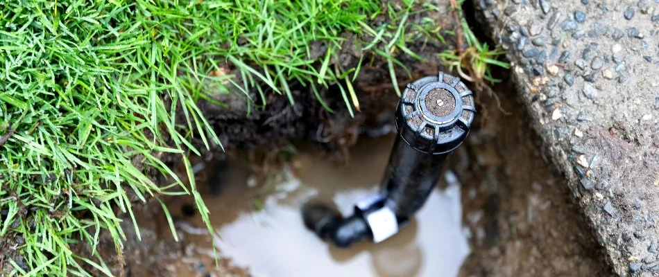 Broken sprinkler head in Tarrytown, NY.