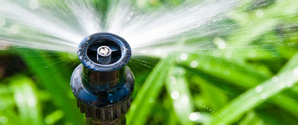 Close up of a sprinkler head in Tarrytown, NY.