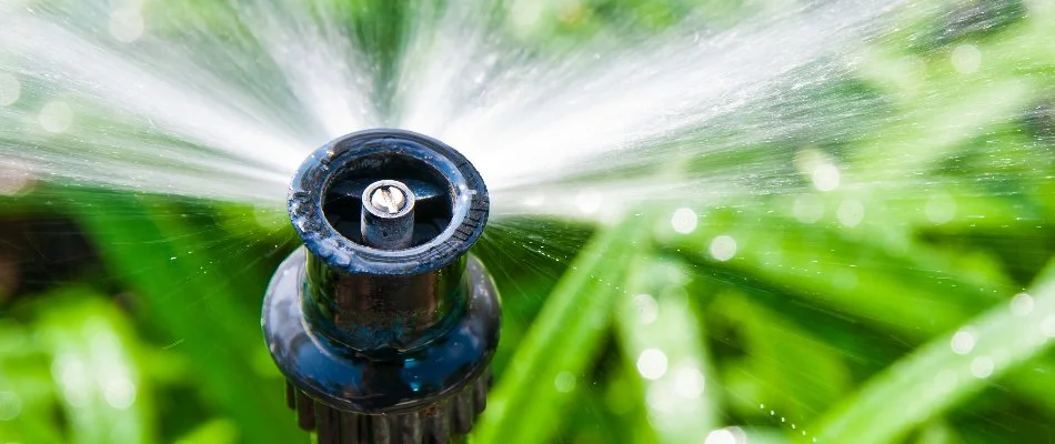 Close up of an irrigation sprinkler head in Tarrytown, NY.