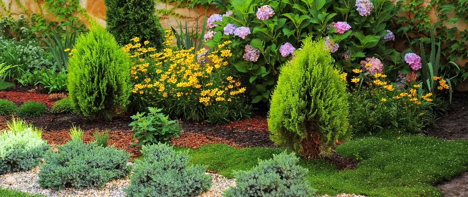 Landscape bed in Tarrytown, NY, with lush plants and colorful flowers.