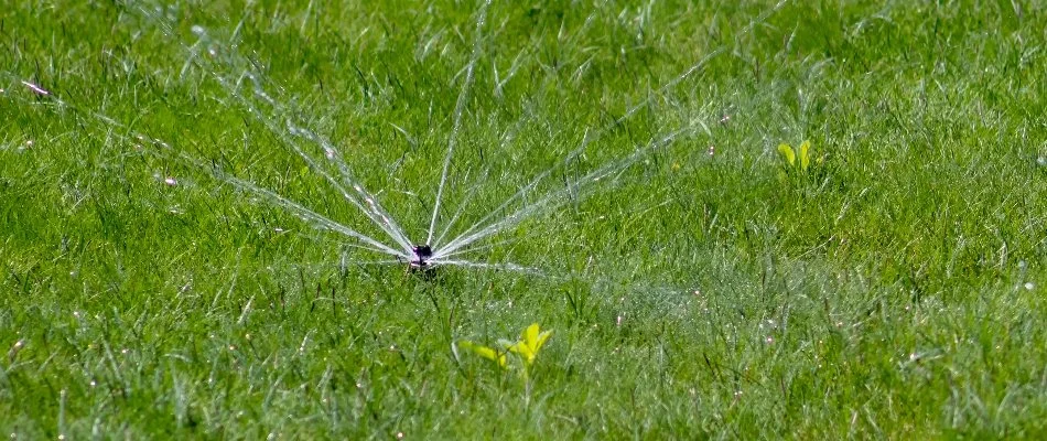 Lawn in Tarrytown, NY, with irrigation sprinkler head.