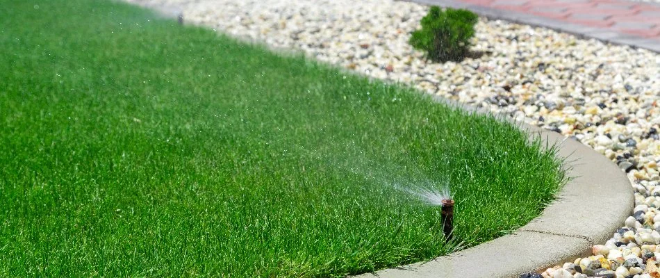 Lawn in Tarrytown, NY, with a sprinkler head.