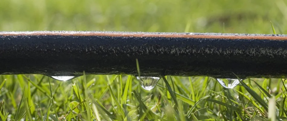 Leaky pipe above grass blades in Tarrytown, NY.