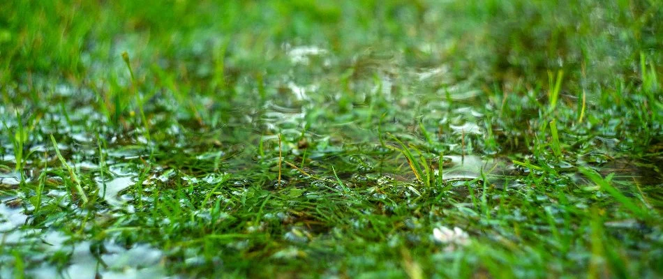 Puddle on a lawn in Saddle River, NJ.