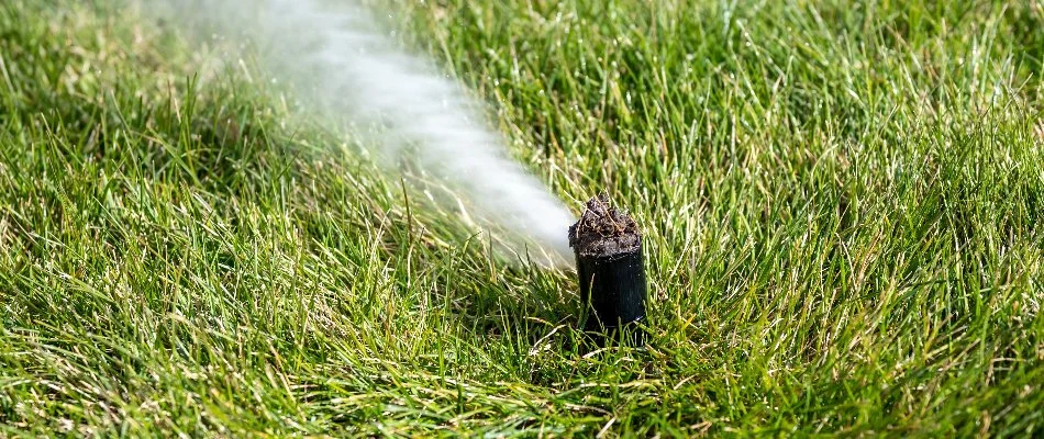 Blowing out water from a sprinkler head in Middletown Township, NJ, during irrigation winterization.