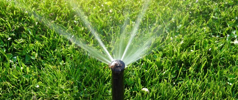 A sprinkler head in Bergen County, NJ, watering a lawn.