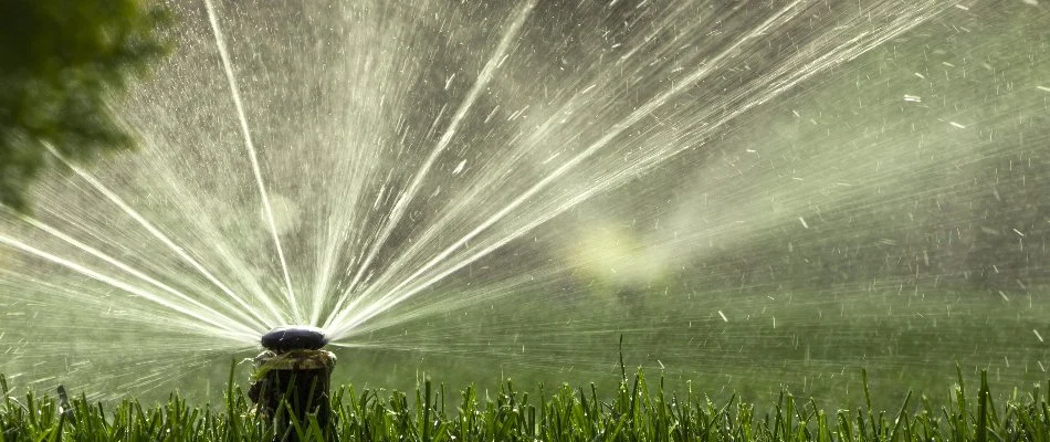 Closeup of a sprinkler head and grass in Irvington, NY.
