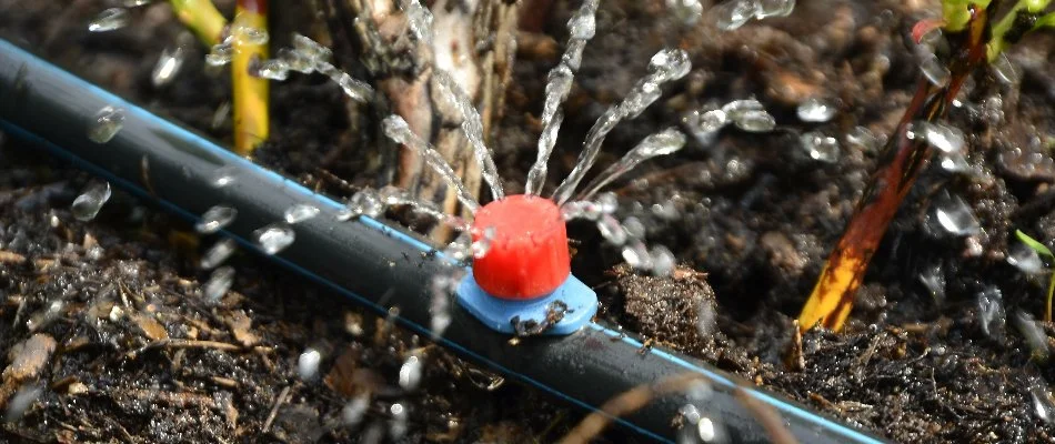 Drip irrigation emitter in White Plains, NY.