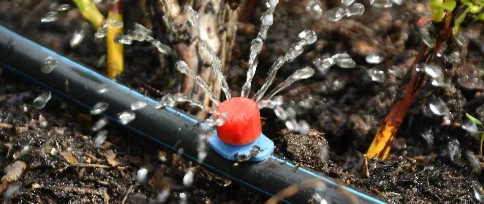 Emitter of drip irrigation system on the ground in Franklin Lakes, NJ.