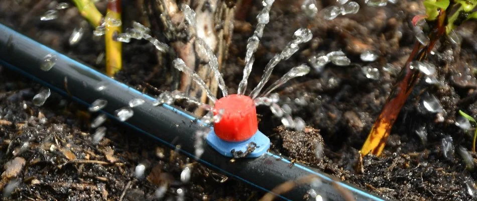 Drip irrigation system in Alpine, NJ.