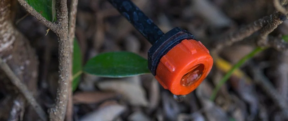 Emitter of drip irrigation system in Mount Vernon, NY.