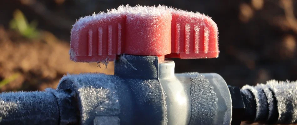 Frost on irrigation system in Saddle River, NJ.