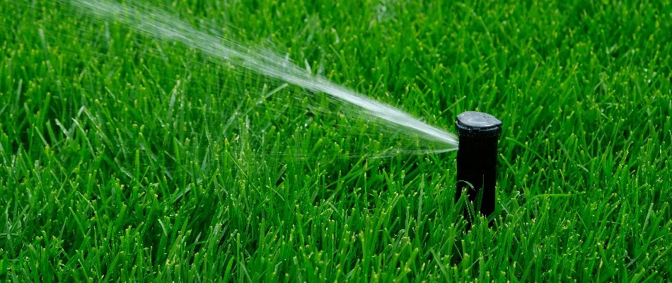 Green grass in Upper Saddle River, NJ, being watered by black sprinkler head.