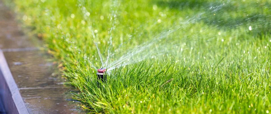 Green lawn in Waterbury, CT, with an irrigation system.