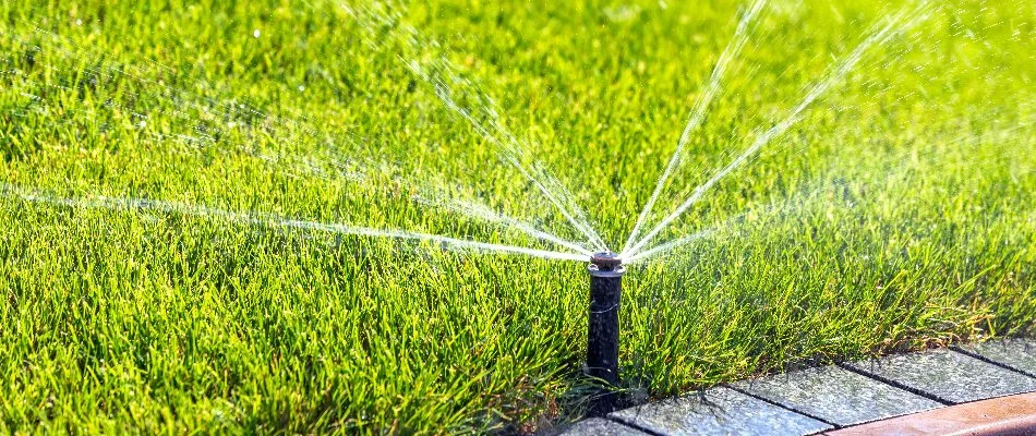 Irrigation sprinkler head on the edge of a lawn in Howell Township, NJ.