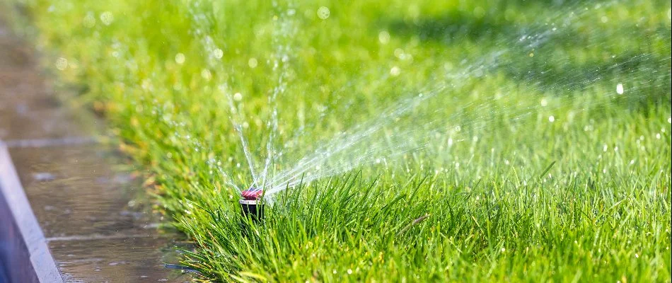 Irrigation sprinkler head on green grass in Union City, NJ.