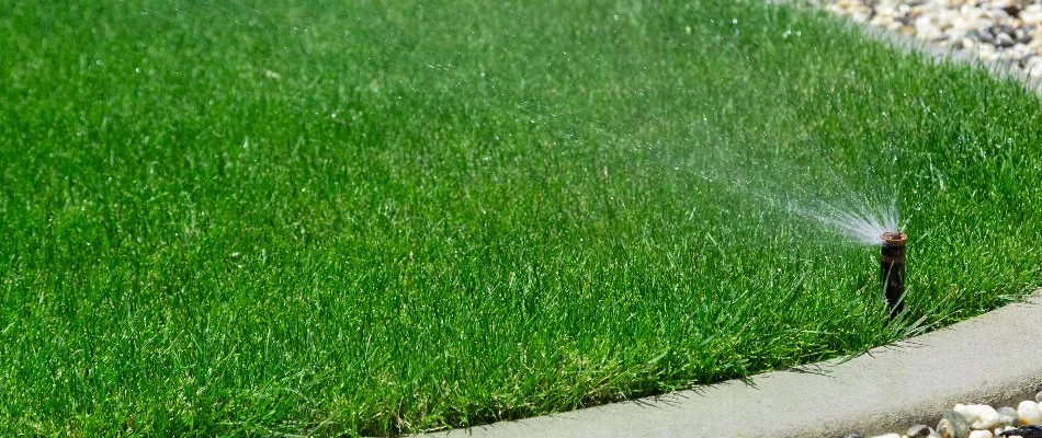 Irrigation sprinkler head on thick grass in Ramapo, NY.