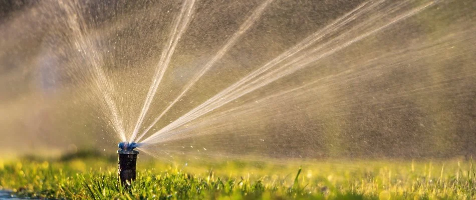 Irrigation sprinkler head in Sleepy Hollow, NY, spraying out water.