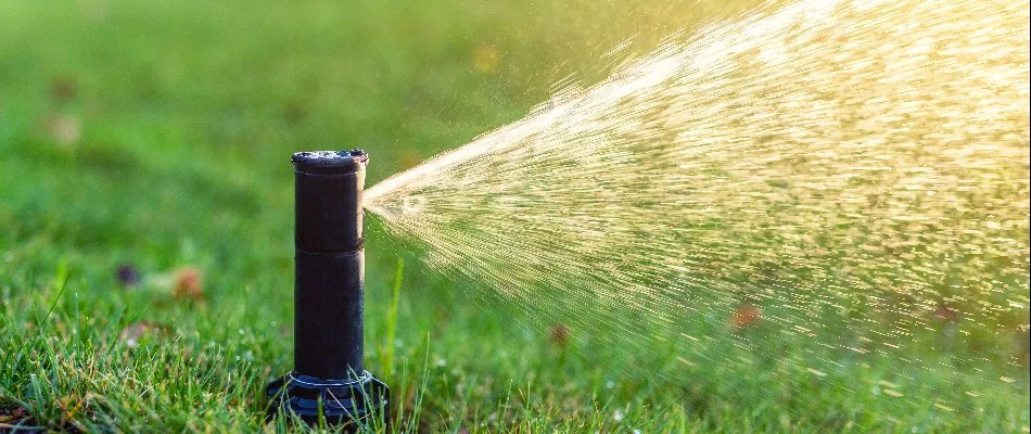 Irrigation sprinkler spraying water on a lawn in Newark, NJ.