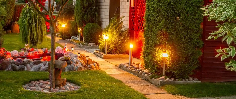Landscape area in Danbury, CT, with plants and outdoor LED lights.