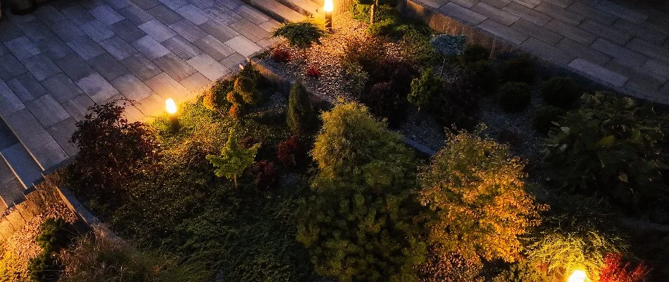 Landscape area in Smithtown, NY, with plants and outdoor lighting fixtures.