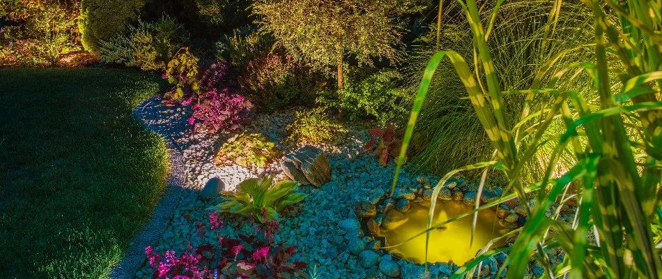 Landscape bed in West Orange, NJ, with plants, a water feature, and outdoor lighting.