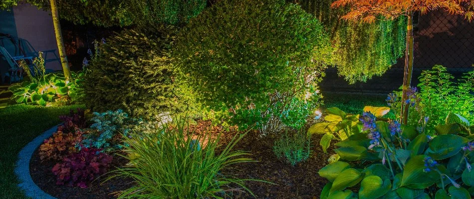 Landscape bed in Woodcliff Lake, NJ, with lighting on plants.