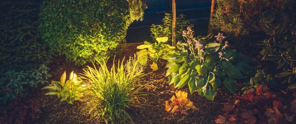 Landscape bed in Irvington, NY, with plants and lighting.