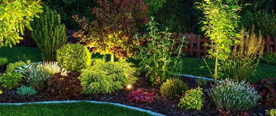 Landscape bed in Norwalk, CT, with plants and outdoor lighting.