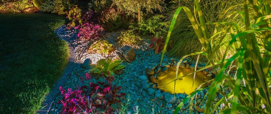 Landscape bed in Babylon, NY, with rocks, plants, and LED lights.