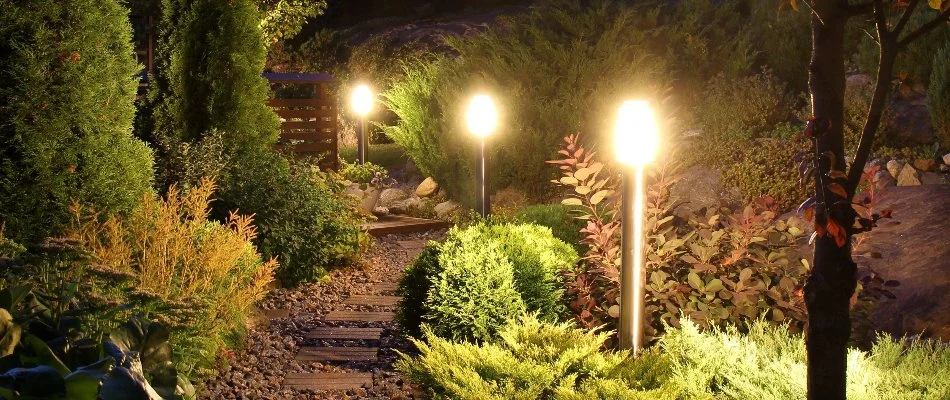 Landscape plants and outdoor lighting in East Brunswick, NJ.