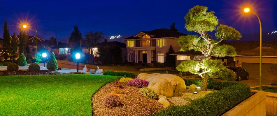 Landscape in Englewood, NJ, with lighting, mulch, trees, and shrubs.