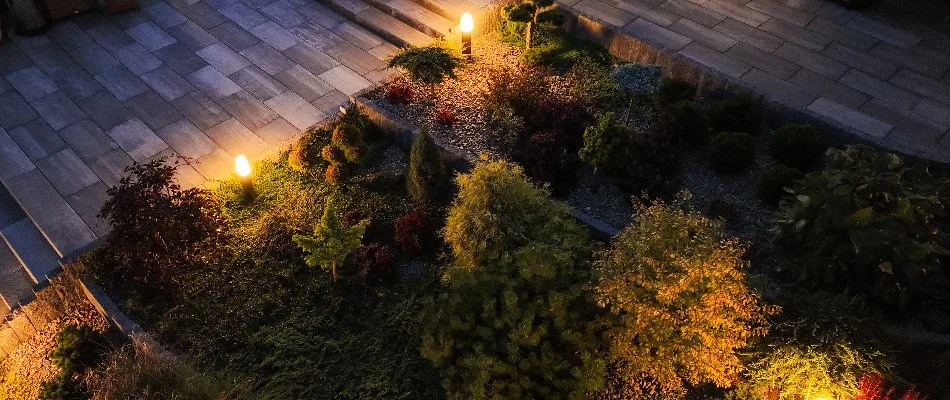 Landscape in Haverstraw, NY, with plants and LED lights.